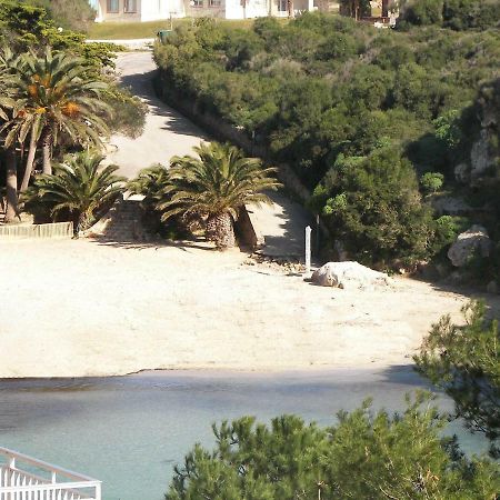 Villa Terra كالا إن بلانيس المظهر الخارجي الصورة